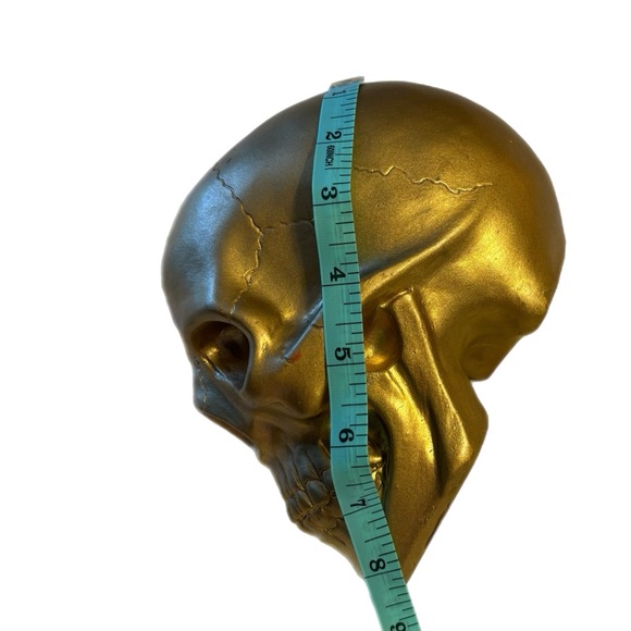 Pirate's Loot Gold Skull Statue Day Of The Dead Skull Head Gothic Resin Figurine - Picture 5 of 6